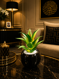 Black Round Decorative Planter Pot for Home & Office | Modern Indoor Plant Pot | Luxury Tabletop Flower Pot PL 00202