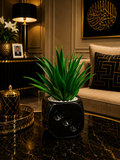 Modern Black Decorative Planter Pot for Home & Office | Luxury Indoor Plant Pot | Elegant Tabletop Flower Pot PL 00201