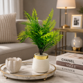 Artificial Fern Plant in White Pot | Decorative Faux Greenery for Home & Office