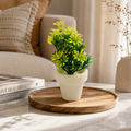 Mini Artificial Green Plant in White Pot | Decorative Tabletop Faux Plant