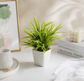 Artificial Green Desk Plant in White Pot | Small Decorative Tabletop Plant